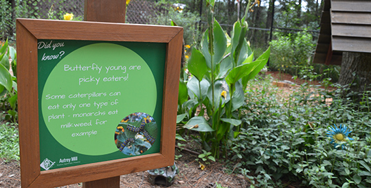 Autrey Mill Nature Preserve Camp